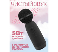 Микрофон-Колонка BT AMFOX AM-MIC70,черный