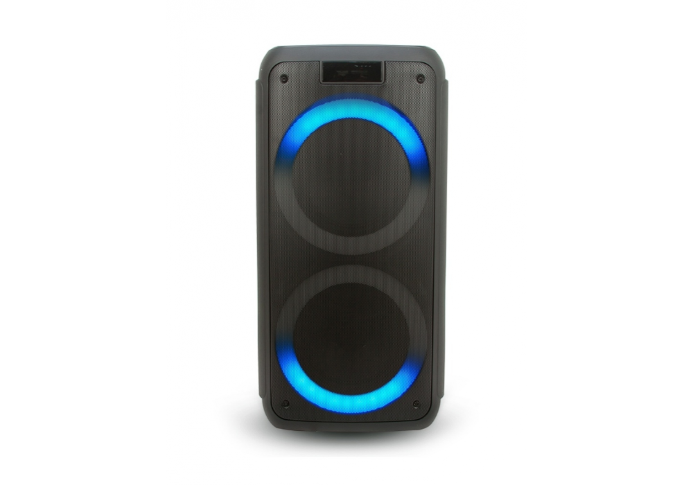 Колонка BIG ELTRONIC 20-12 DANCE BOX 1000