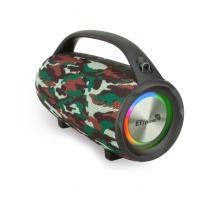Колонка BIG ELTRONIC 30-13 ENERGY TWS