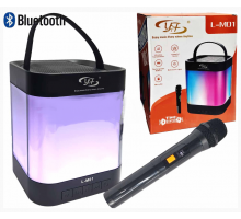 Колонка Караоке минисистема L-M01 (Fm+USB)